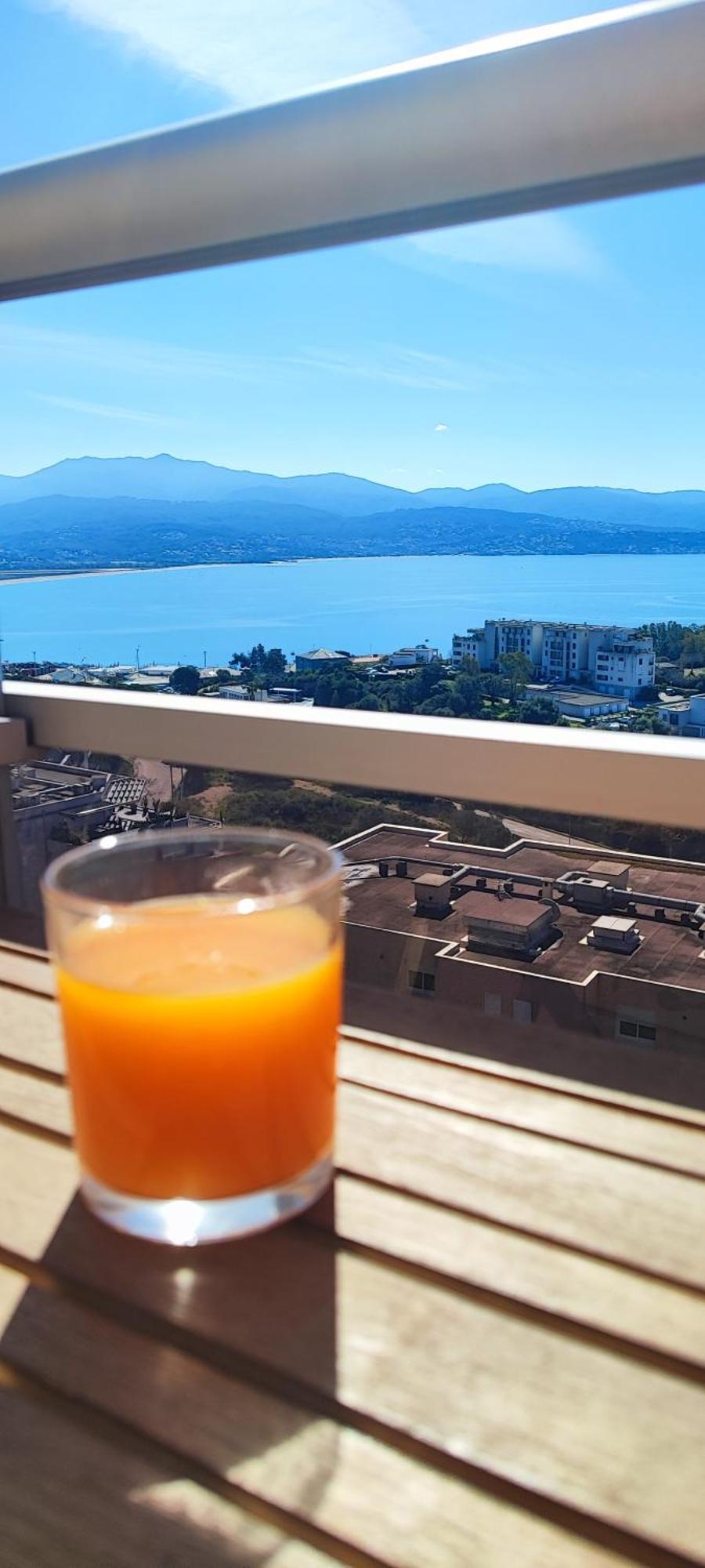 Il Golfo Apartment Ajaccio (Corsica)